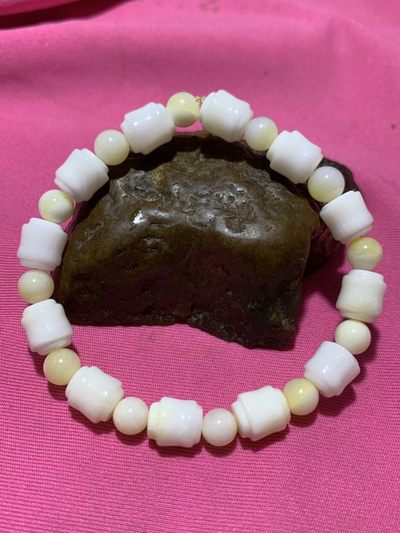 深海贝化玉竹节手串一条 - 深海贝化玉竹节手串一条