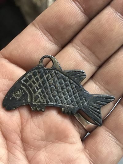 缤纷开心拍540期 包老鱼钱一枚