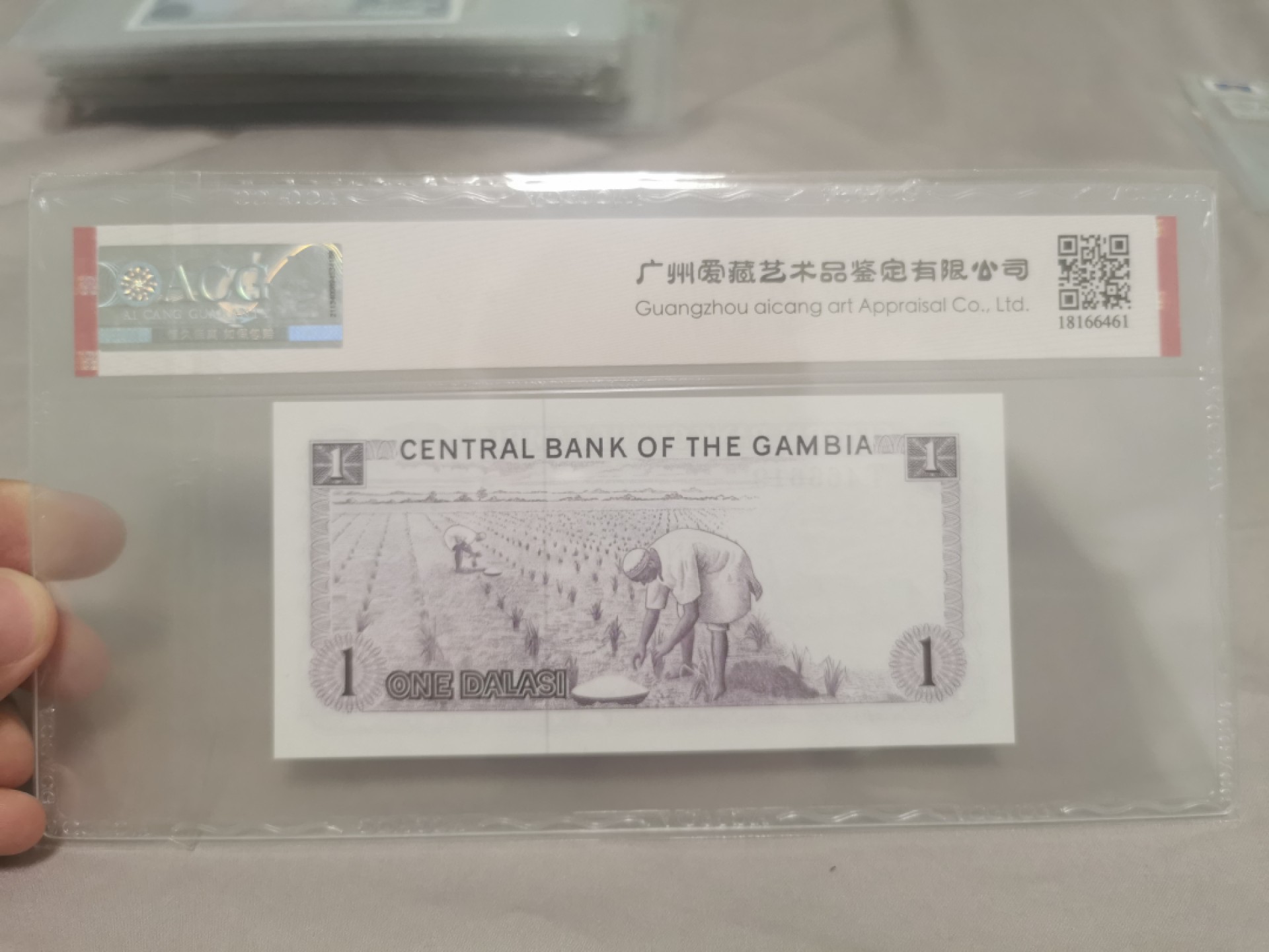 16.【鲸贝乐淘★道德经】“不贵难得之货，使民不为盗”号拍卖 【冈比亚】1971-87年，1元，爱藏67E