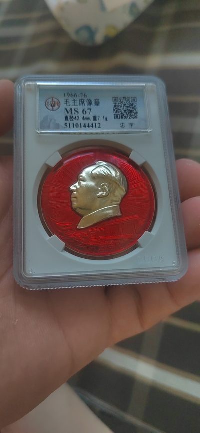 公博评级毛主席像章专场 - 🌹 🌹部队章 🌹 🌹 公博评级毛主席像章—部队章，毛主席和林副主席六三接见