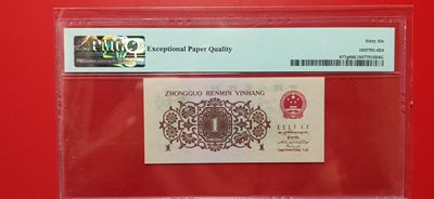 二版随心拍 背渡一角 831-0507824 PMG66E