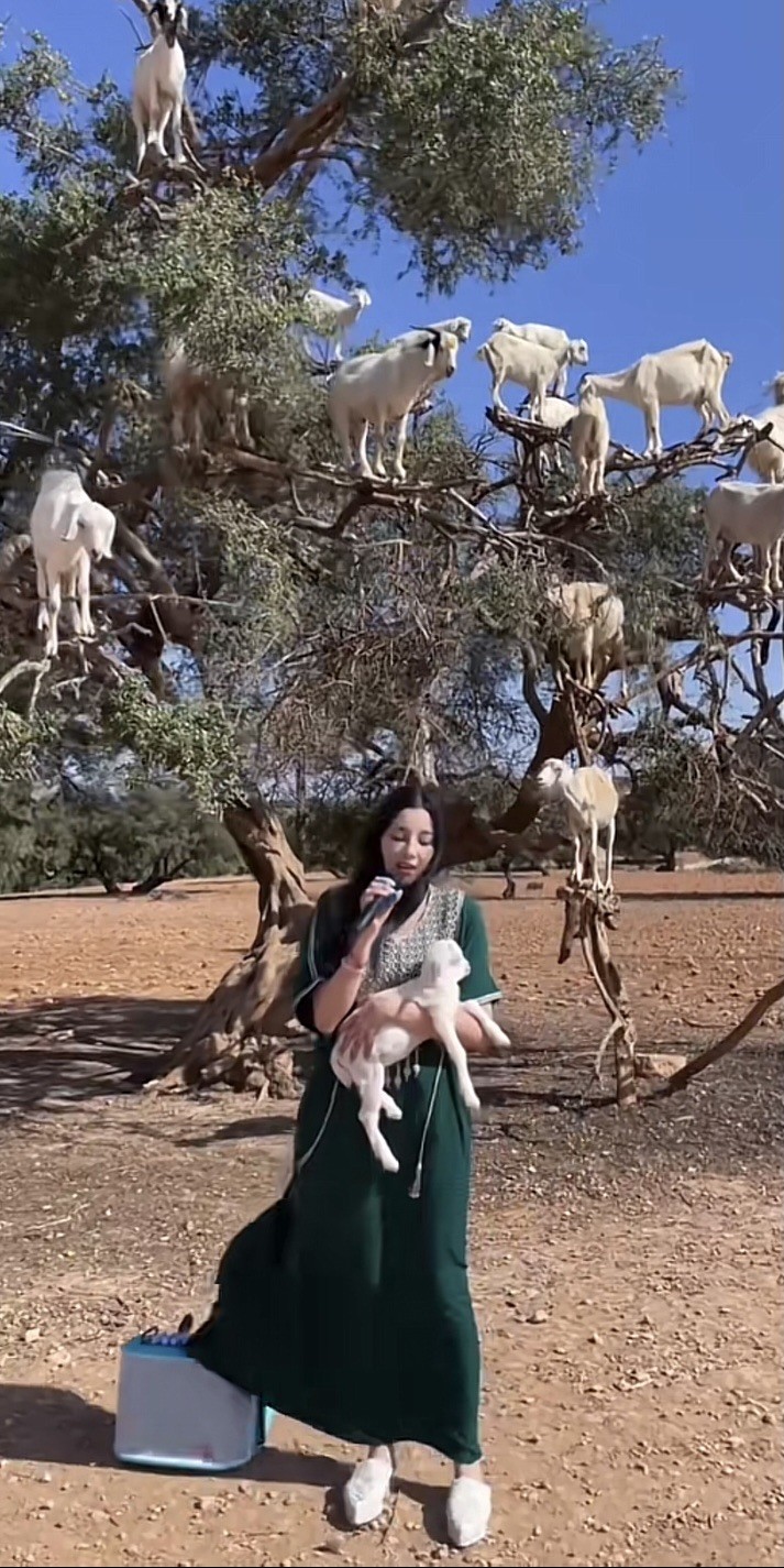 收藏联盟Quantum Auction 第176期拍卖 吉布提1984年10000法郎 PMG68 羊上树