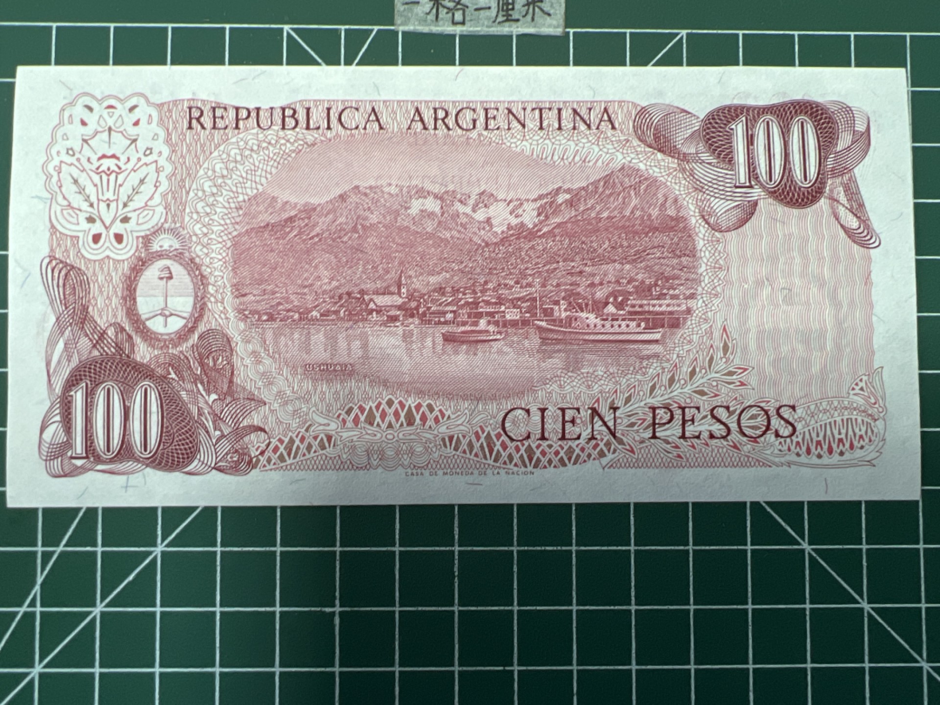 泡泡堂第二十八期  纸币硬币专场（全场20包邮，偏远地区除外） 全新阿根廷100皮索