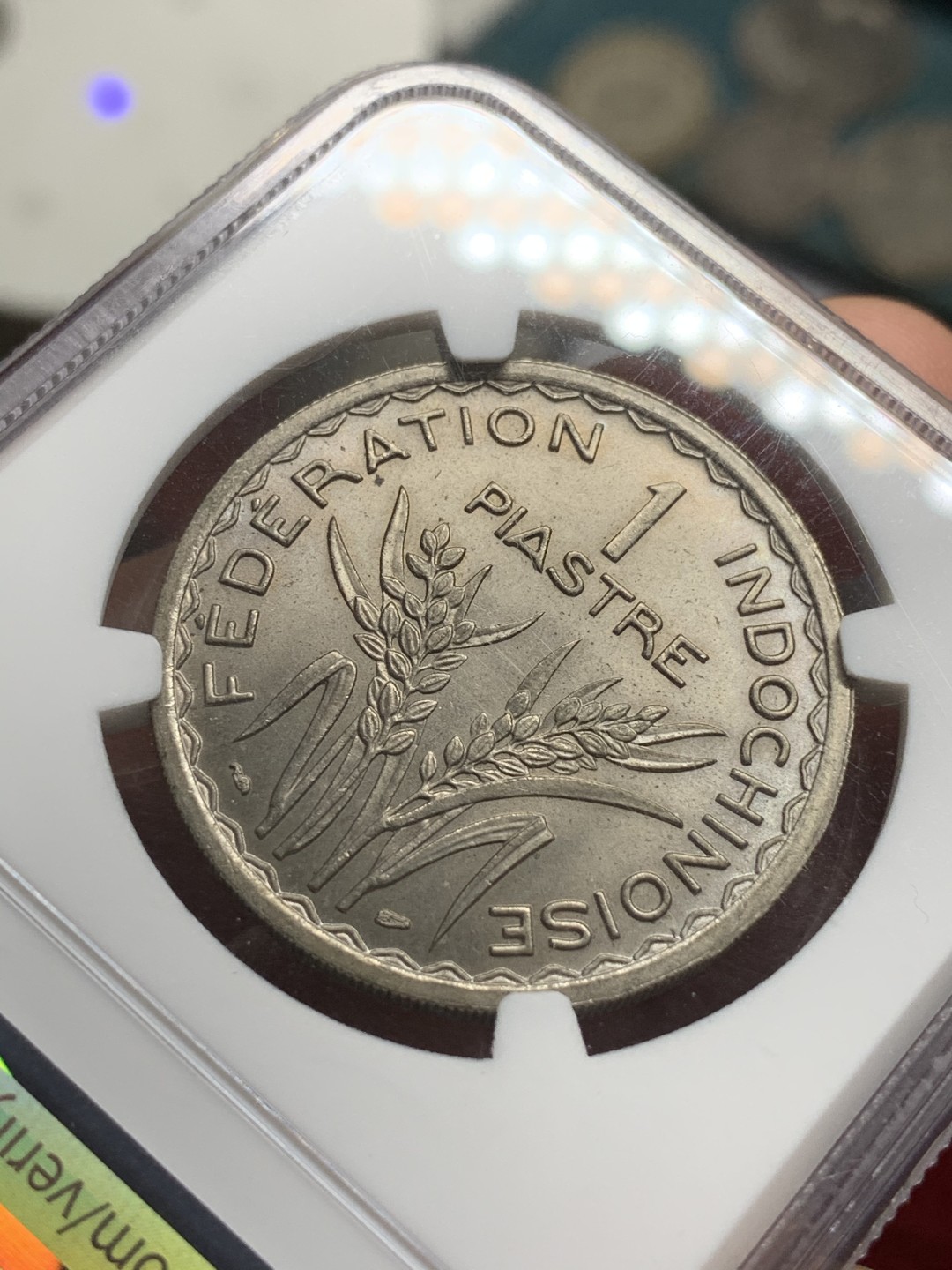 《竞宝斋》第75场-本周日，周一2场连拍（全场不限金额包邮） NGC MS64 法属印支1947年齿边女神一皮阿斯特镍币