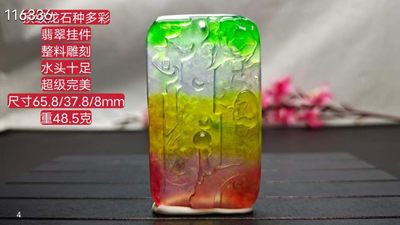 顶级龙石种多彩翡翠挂件 - 顶级龙石种多彩翡翠挂件