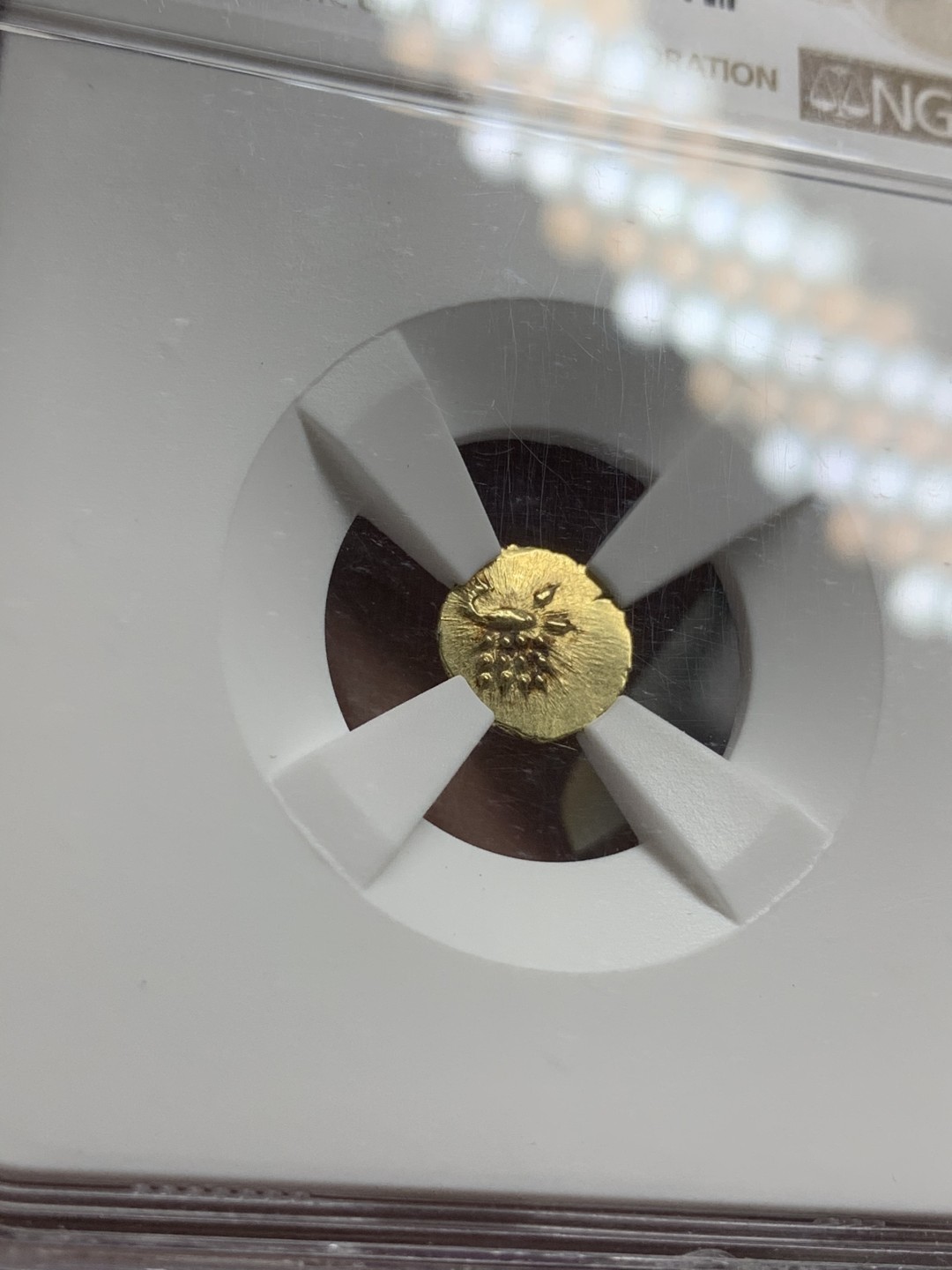 《竞宝斋》第75场-本周日，周一2场连拍（全场不限金额包邮） NGC-MS62 印度1795年 坎亲 FANAM 金币 顶级品相