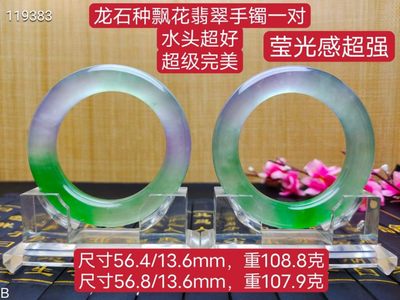 龙石种飘花翡翠手镯一对，口径56，重108.8/107.9克  - 龙石种飘花翡翠手镯一对，口径56，重108.8/107.9克 