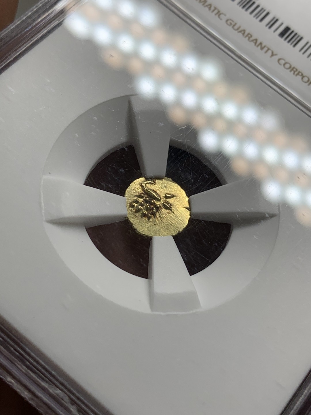 《竞宝斋》第75场-本周日，周一2场连拍（全场不限金额包邮） NGC-MS62 印度1795年 坎亲 FANAM 金币 顶级品相