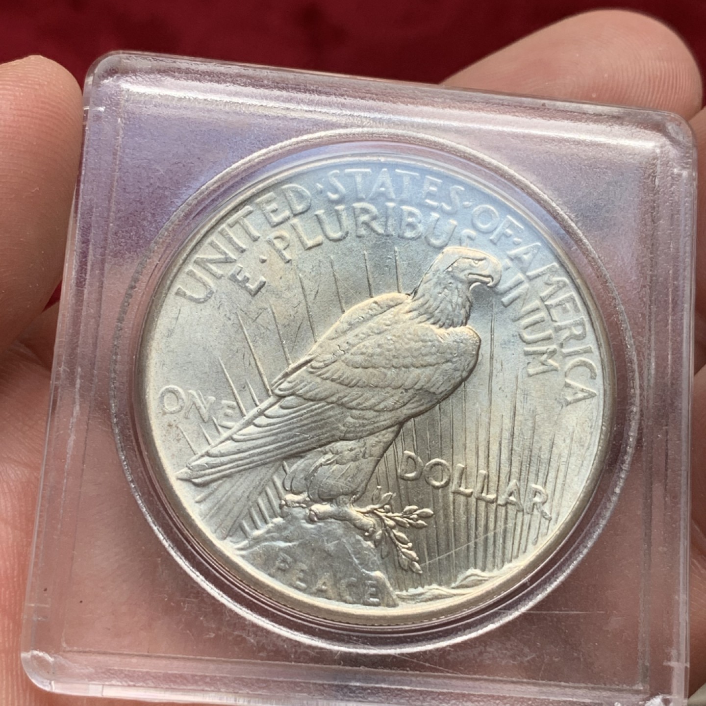 《竞宝斋》第76场-本周日，周一2场连拍（全场不限金额包邮） 美国 1925年 和平 1美元 银币 状态不错 淡彩包浆