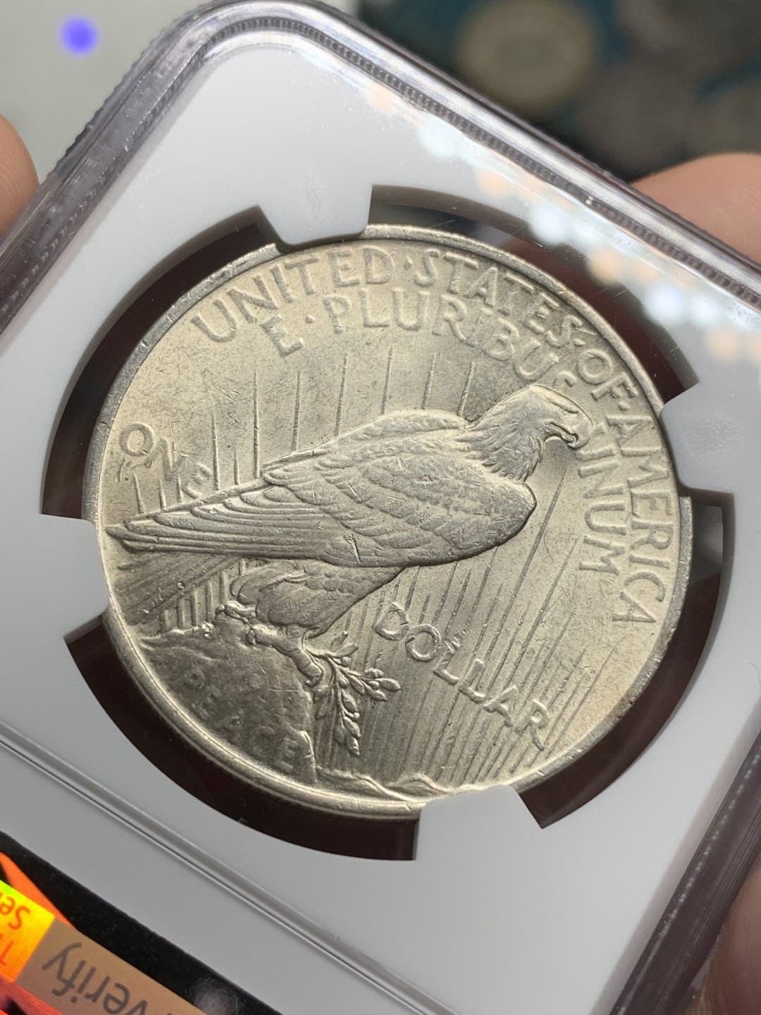 《竞宝斋》第76场-本周日，周一2场连拍（全场不限金额包邮） NGC-MS62 美国 1922年和平一元 大银币 一流品相