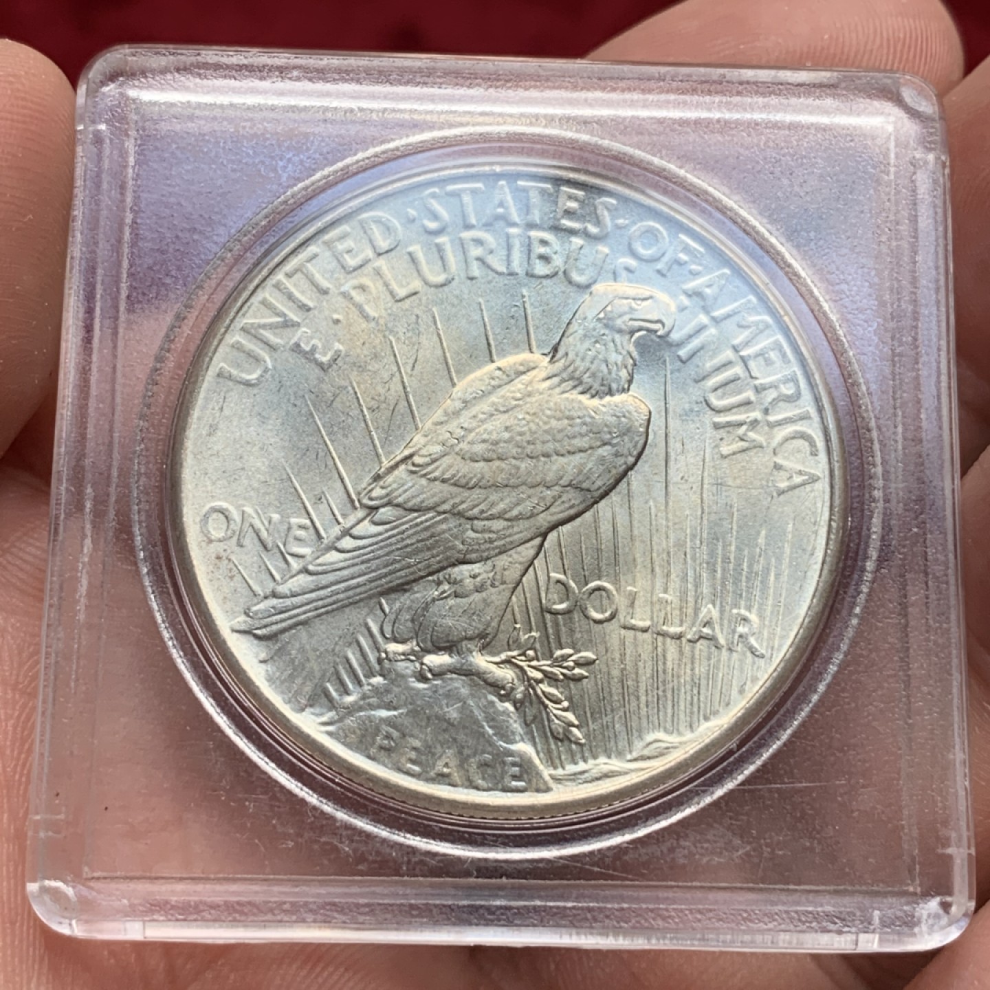 《竞宝斋》第76场-本周日，周一2场连拍（全场不限金额包邮） 美国 1925年 和平 1美元 银币 状态不错 淡彩包浆