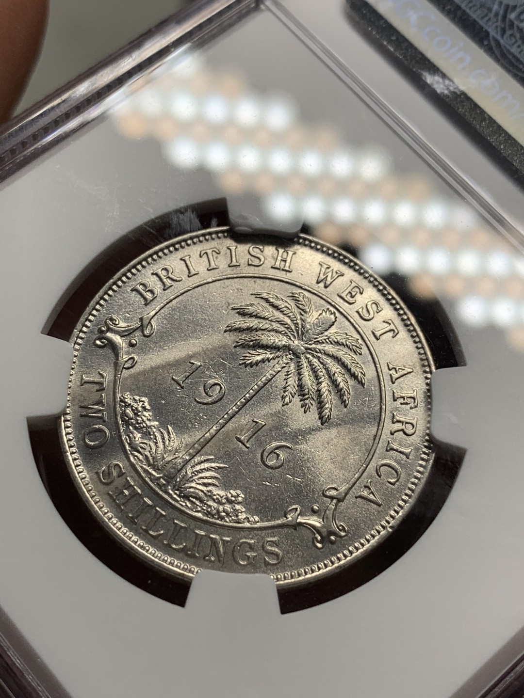 《竞宝斋》第76场-本周日，周一2场连拍（全场不限金额包邮） NGC-UNC DETAIL 英属西非 1936年2先令银币 少见品种 年份标签错误 