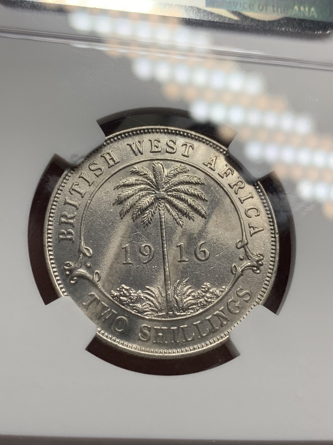 《竞宝斋》第76场-本周日，周一2场连拍（全场不限金额包邮） NGC-UNC DETAIL 英属西非 1936年2先令银币 少见品种 年份标签错误 