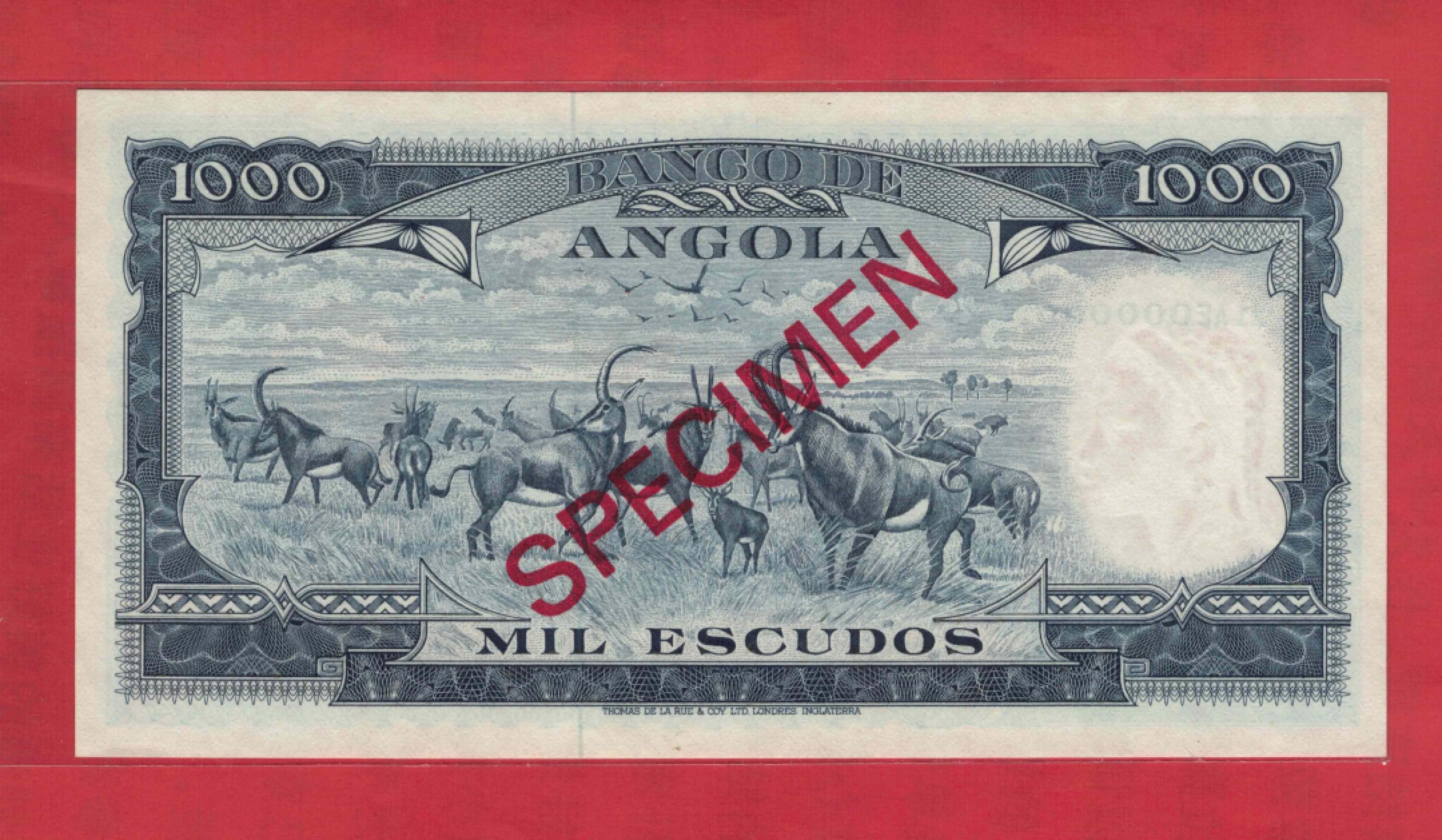 葡属安哥拉1970年1000埃斯库多 票样 样钞 样票 实物图 UNC  