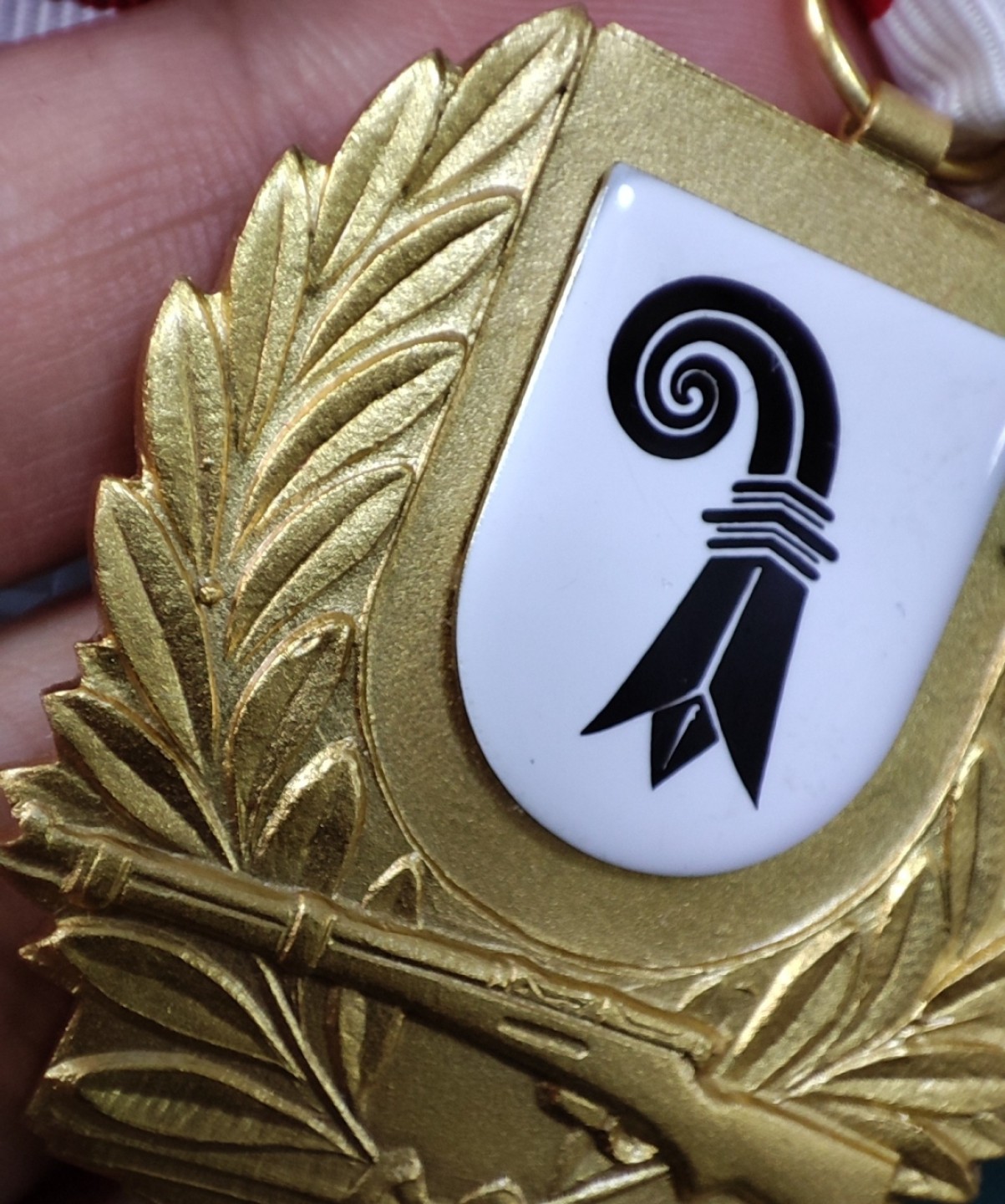 gush小明220721 瑞士1980-1981射击节奖章二枚