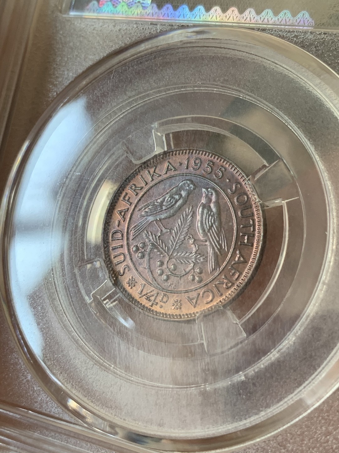 《竞宝斋》第76场-本周日，周一2场连拍（全场不限金额包邮） 南非伊丽莎白女王版（1955年）8枚，三铜五银