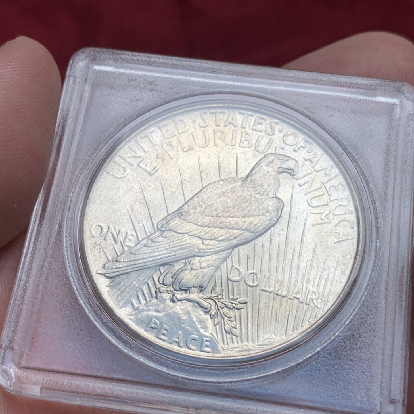 《竞宝斋》第76场-本周日，周一2场连拍（全场不限金额包邮） 美国 1925年 和平 1美元 银币 状态不错 淡彩包浆