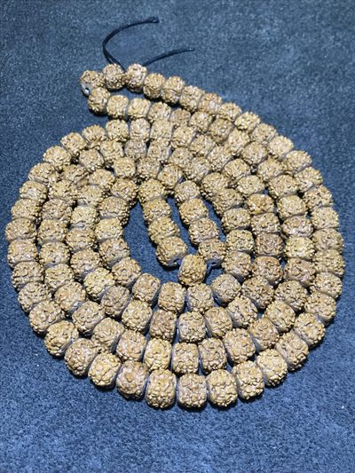 仅此一串，精美4瓣小方块藏式小金刚菩提一条， - 仅此一串，精美4瓣小方块藏式小金刚菩提一条，