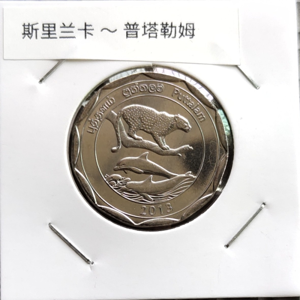 8★机器委托自动落锤★请提前出好价 满30包邮 斯里兰卡2013年行政区划 州币系列10卢比纪念币 大直径26.4mm 全新！