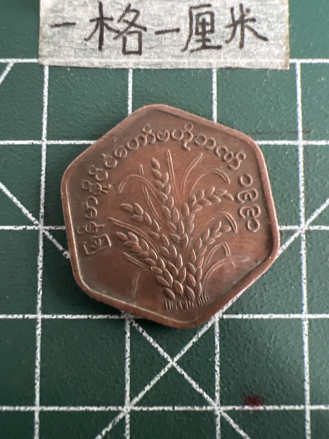 泡泡堂第四十九期  世界硬币纪念章专场（无押金，无佣金，捡漏，全场20包邮，偏远地区除外） 缅甸水稻异形币