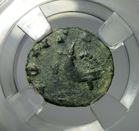古罗马铜币,克劳狄二世动物币,鹰,AE3铜币,AD268-270,约14mm,1.5g,自打标签盒子R0580ix