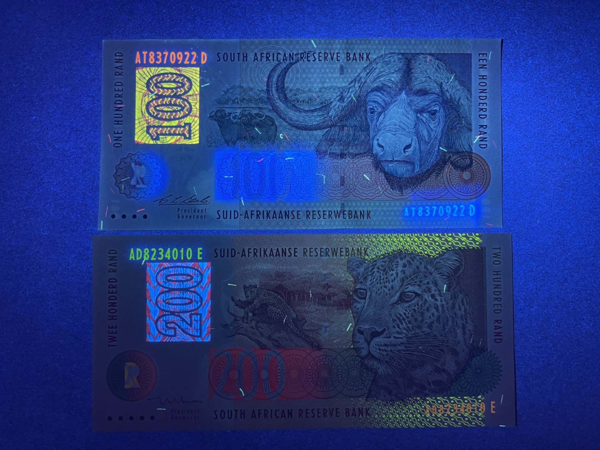 《张总收藏》65期——外币盛宴 南非100、200兰特 UNC 1994年版