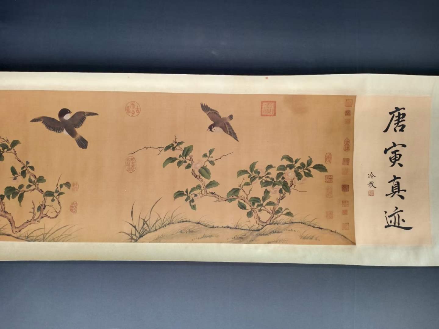 唐寅花鸟长卷，横幅绢本包手绘，实物拍摄，品相如图B250