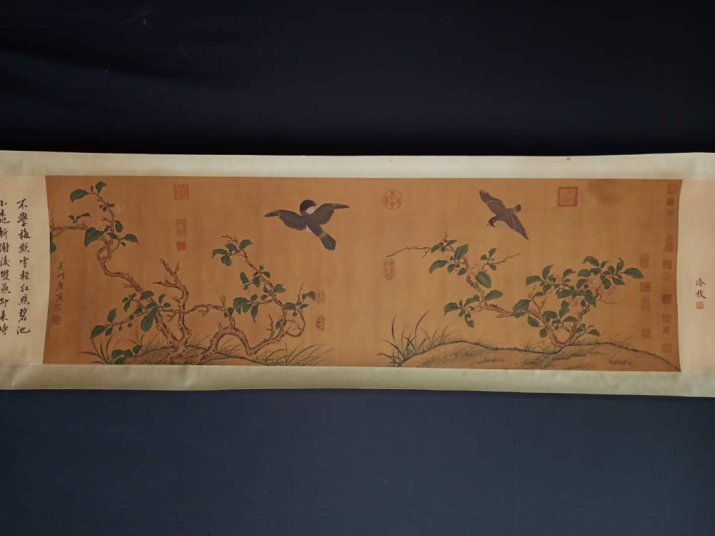 唐寅花鸟长卷，横幅绢本包手绘，实物拍摄，品相如图B250