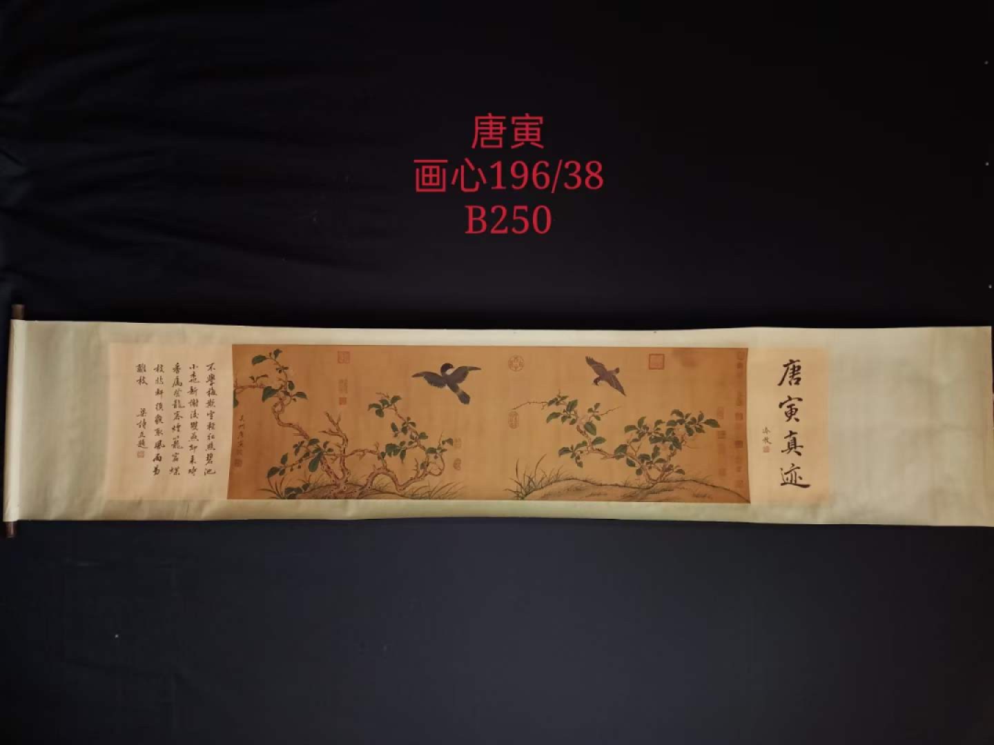 唐寅花鸟长卷，横幅绢本包手绘，实物拍摄，品相如图B250