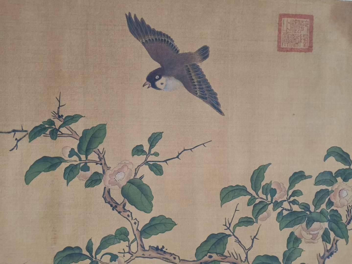 唐寅花鸟长卷，横幅绢本包手绘，实物拍摄，品相如图B250