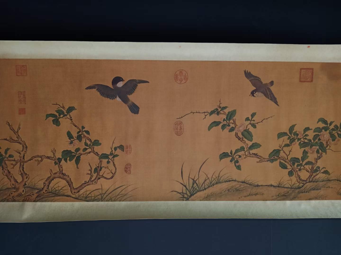 唐寅花鸟长卷，横幅绢本包手绘，实物拍摄，品相如图B250