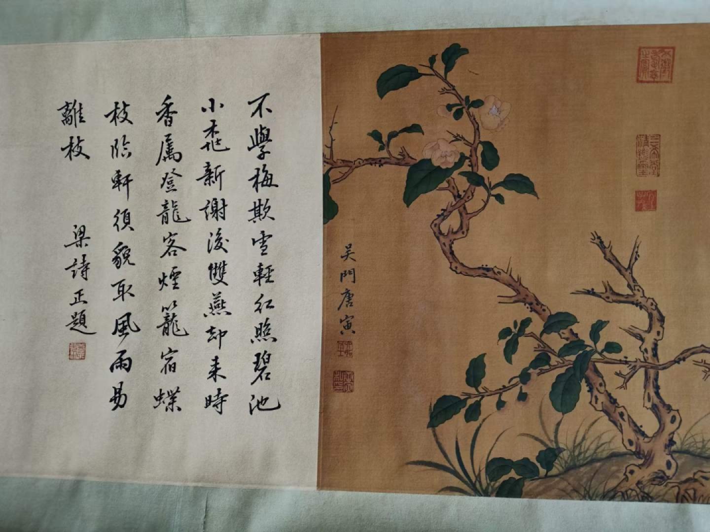 唐寅花鸟长卷，横幅绢本包手绘，实物拍摄，品相如图B250