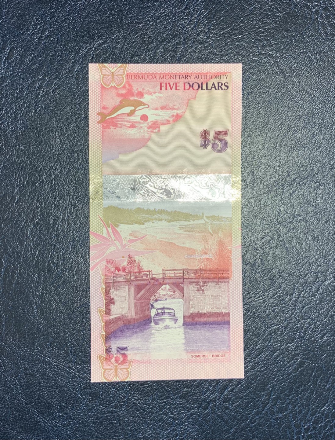 收藏联盟Quantum Auction 第179期拍卖 百慕大2009年5元 全新UNC 首发洋葱冠 剑鱼