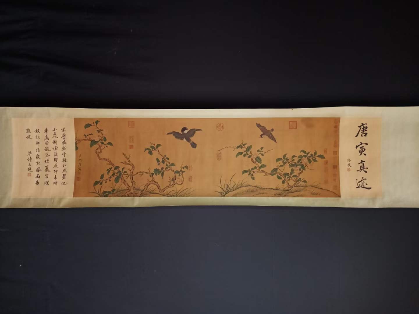唐寅花鸟长卷，横幅绢本包手绘，实物拍摄，品相如图B250