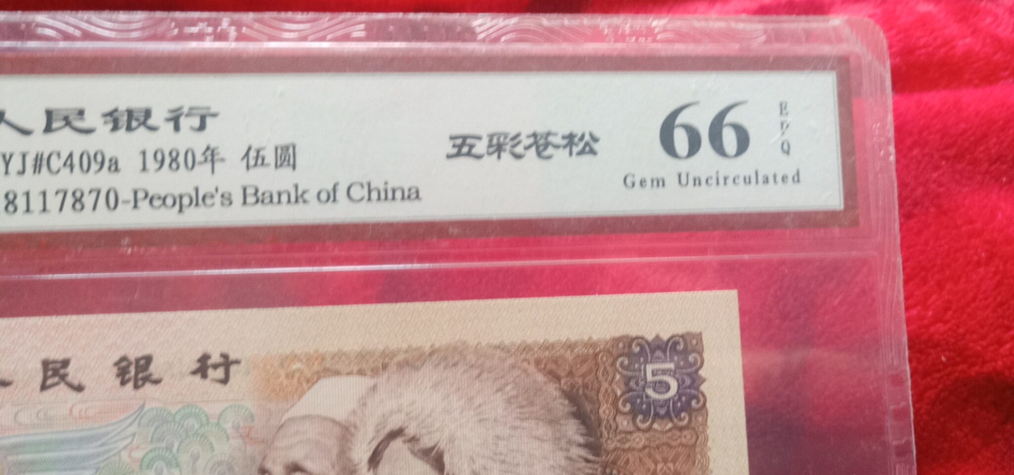小英开心拍第571期 805五彩苍松一张，靓号天印评级