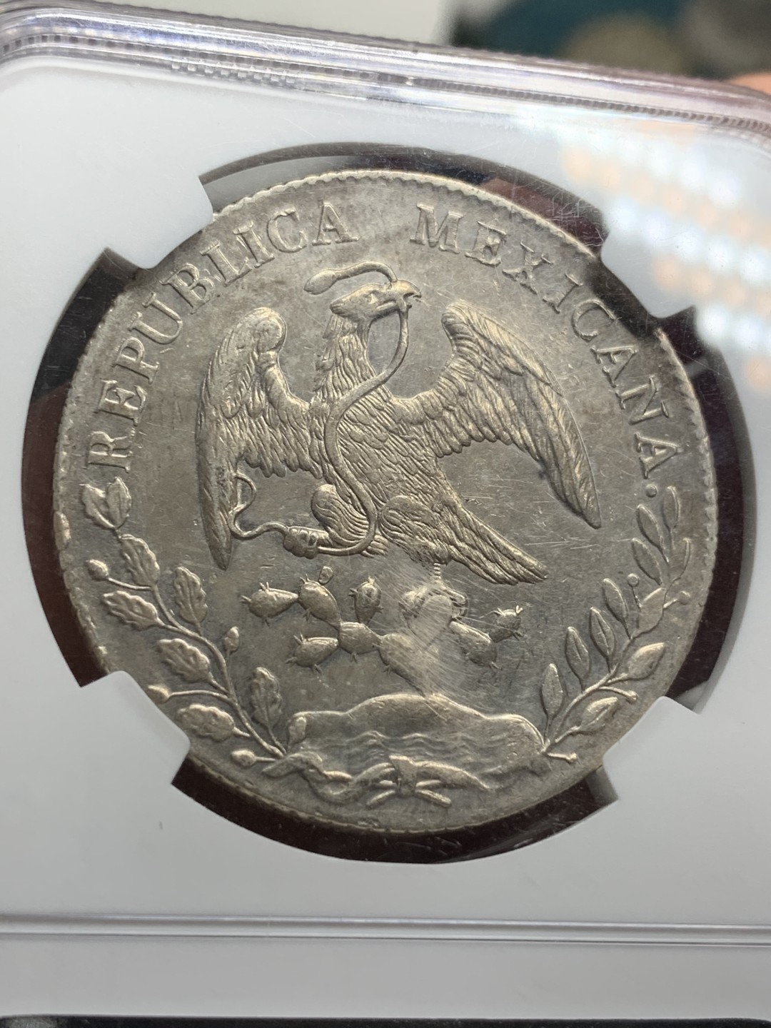 《竞宝斋》第77场-本周日，周一，周四3场拍卖（全场不限金额包邮） NGC MS61 墨西哥 1894 MO 8R花边 鹰洋 原味包浆 细节优秀