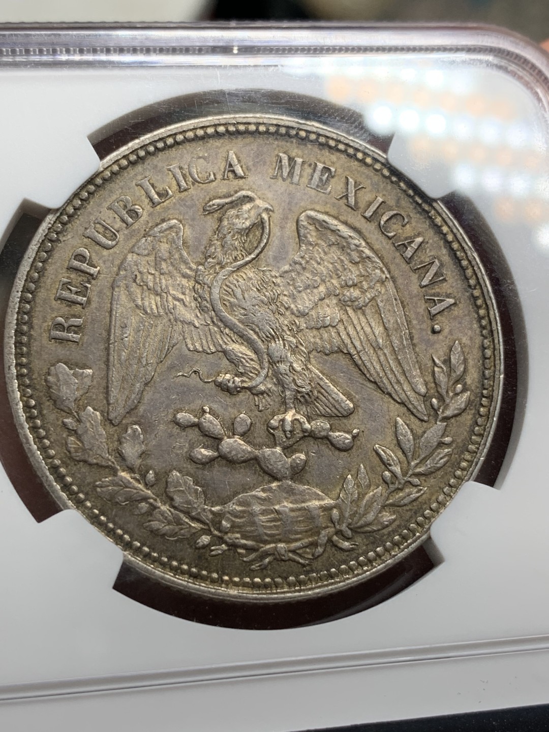 《竞宝斋》第77场-本周日，周一，周四3场拍卖（全场不限金额包邮） NGC MS-61 1901年墨西哥鹰洋 /深彩老包浆，底板和细节都非常好