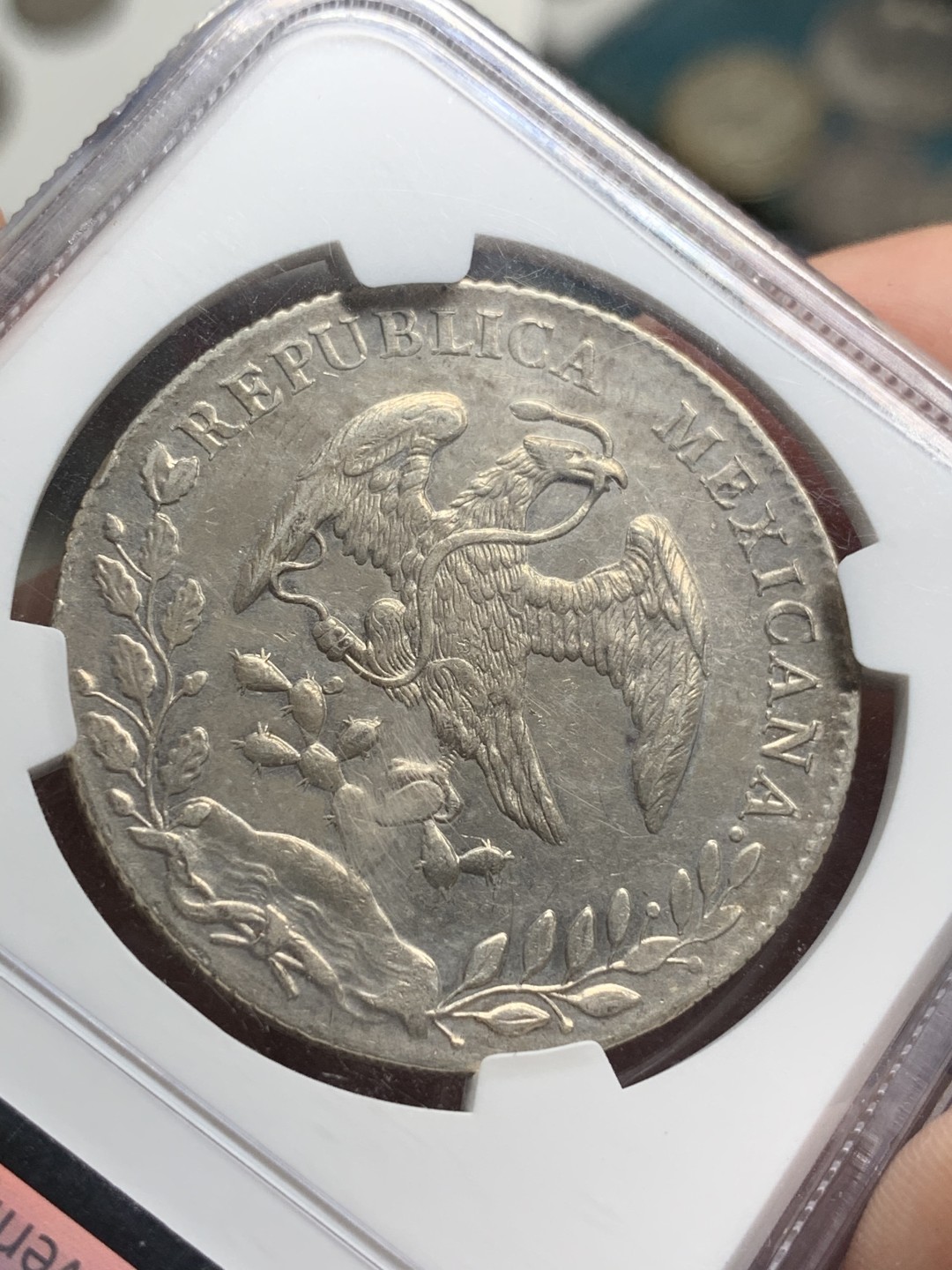 《竞宝斋》第77场-本周日，周一，周四3场拍卖（全场不限金额包邮） NGC MS61 墨西哥 1894 MO 8R花边 鹰洋 原味包浆 细节优秀