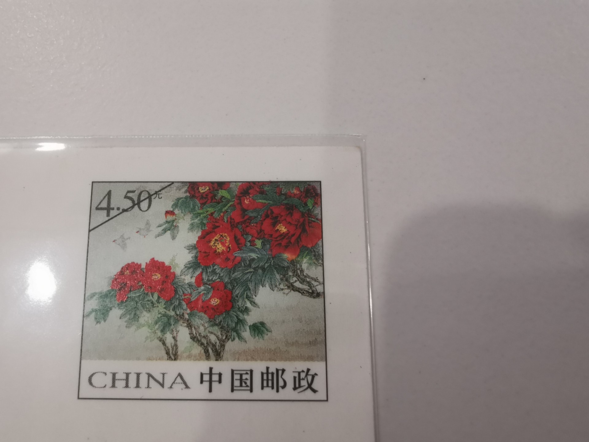 21.【鲸贝乐淘★道德经】“为无为，则无不治”号拍卖 【大地之春明信片样张】2005年航空普白片，样张三祖之一，品种如图，略有角钝，9.6品