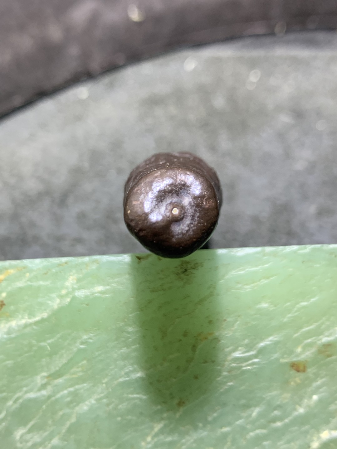 精美罕见戈壁管状黑金刚原石一块， 精美罕见戈壁管状黑金刚原石一块，