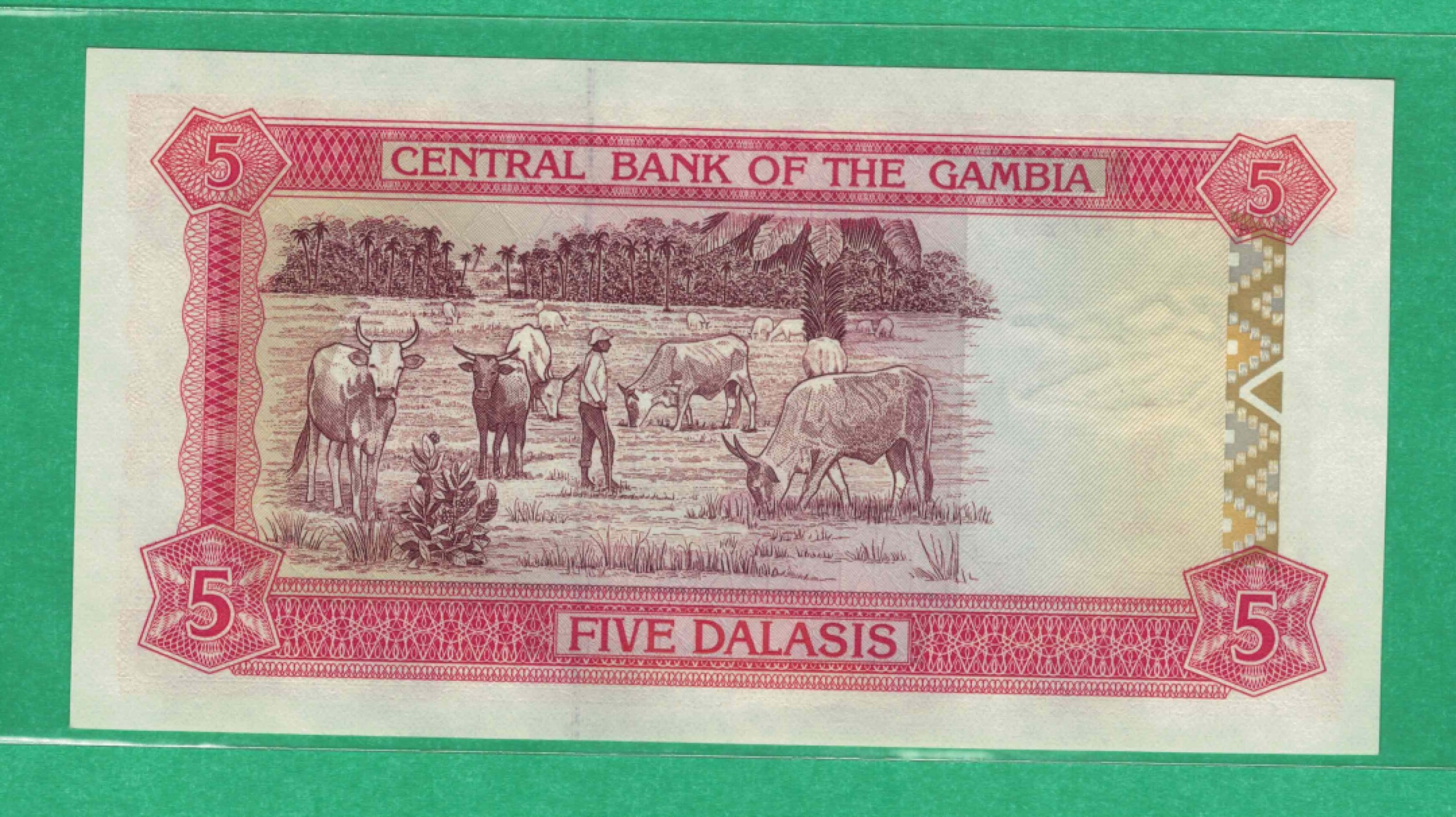 冈比亚1991年至1995年5达拉西 签名11 P-12b  实物图 UNC  