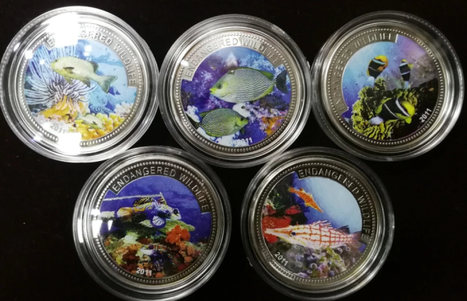 北京马甸外国钱币专卖微拍第八十一期，非贵金属流通币，纪念币专场，陆续上新，欢迎关注 2011年帕劳海洋动物彩色纪念币5枚全套