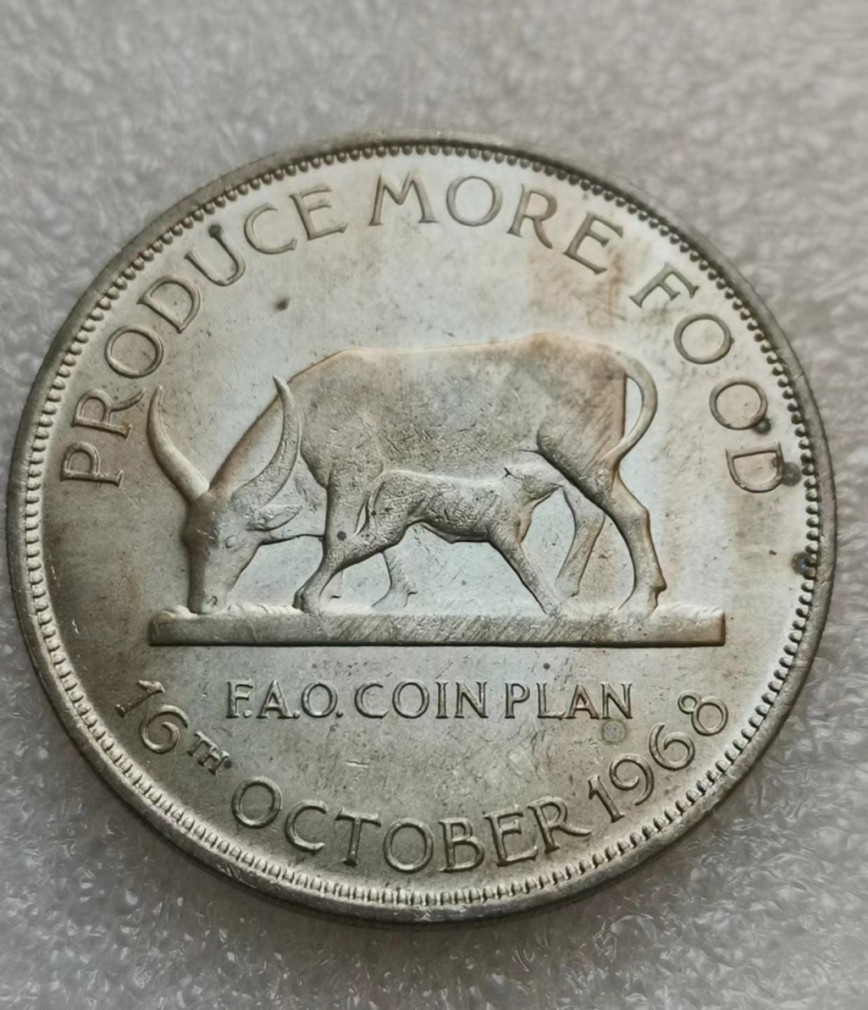 瓶子🏺西安币展专场 乌干达1968年5先令克朗型FAO镍币