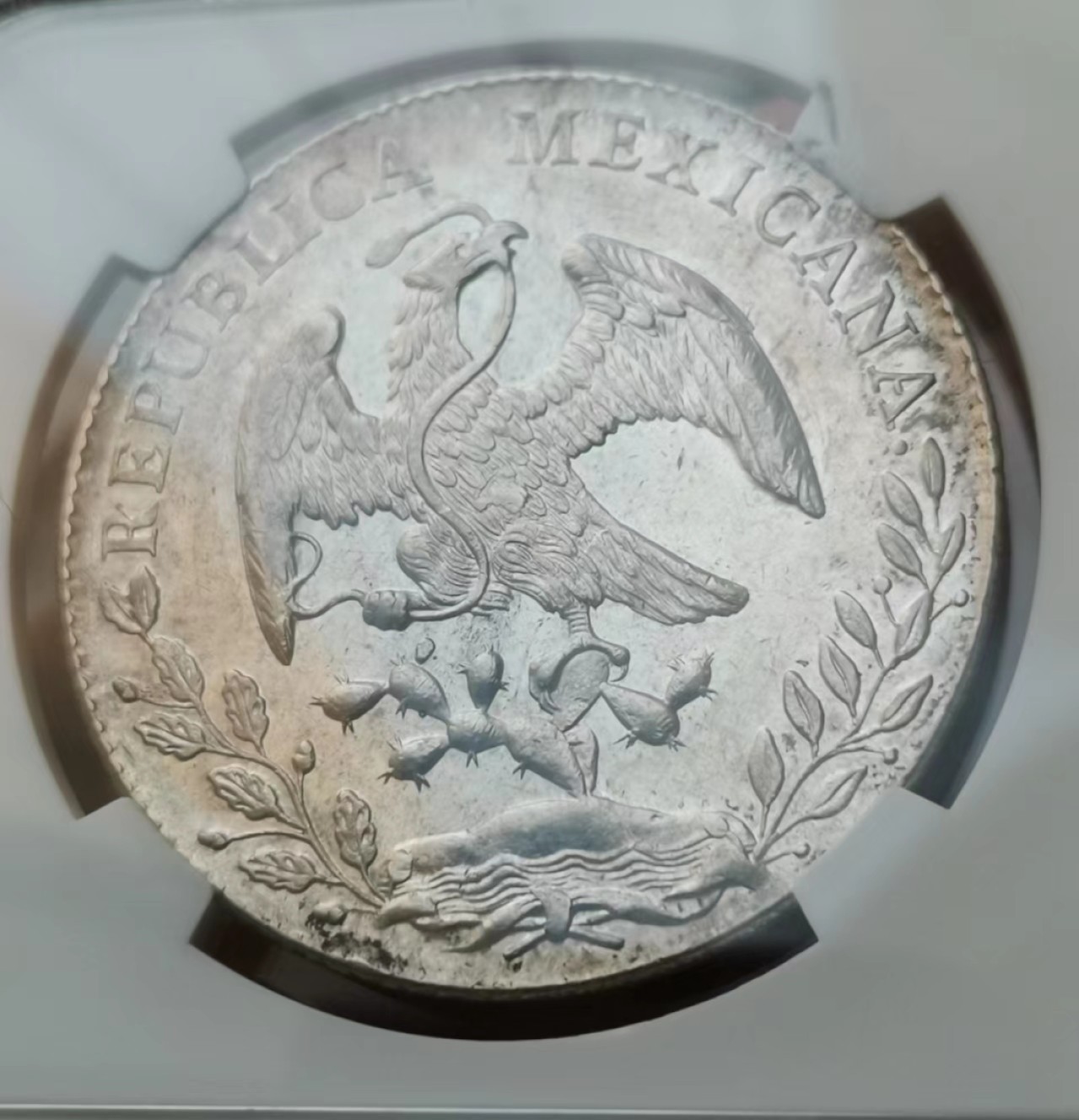 瓶子🏺西安币展专场 墨西哥1896年花边鹰洋大银币