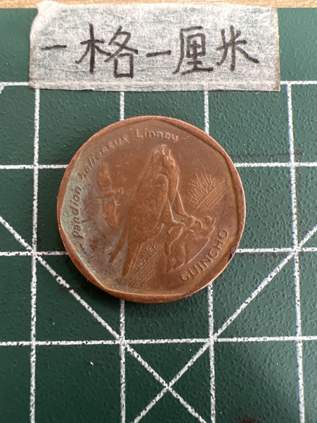 泡泡堂第三十八期  世界硬币纸币专场（无押金，无佣金，捡漏，全场20包邮，偏远地区除外） 佛得角5分