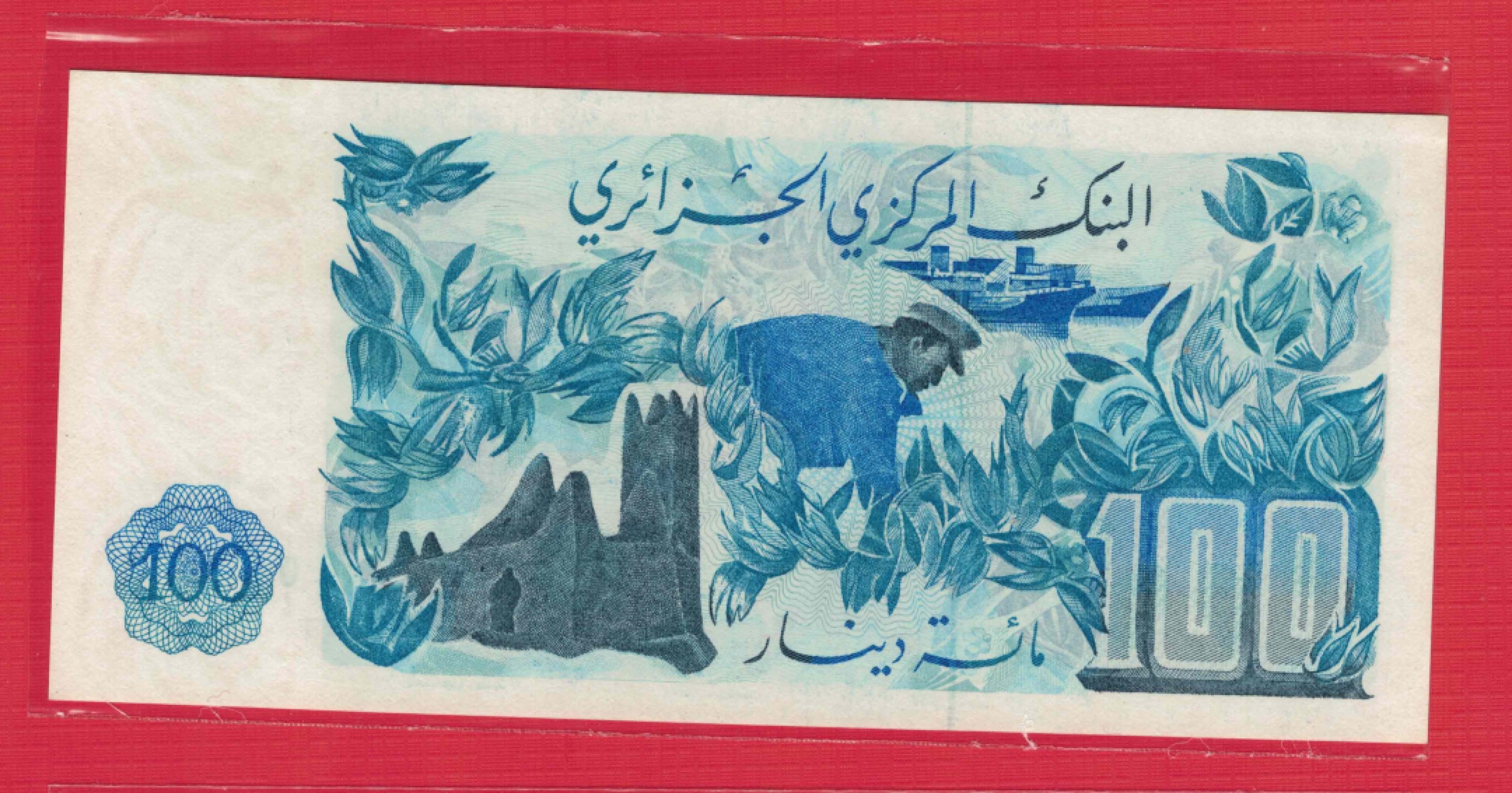 阿尔及利亚1981年100第纳尔 非洲纸币 UNC    