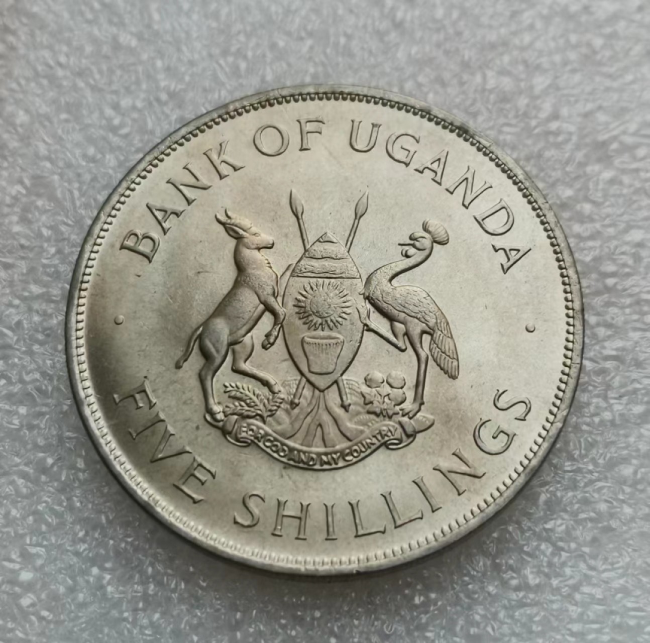 瓶子🏺西安币展专场 乌干达1968年5先令克朗型FAO镍币