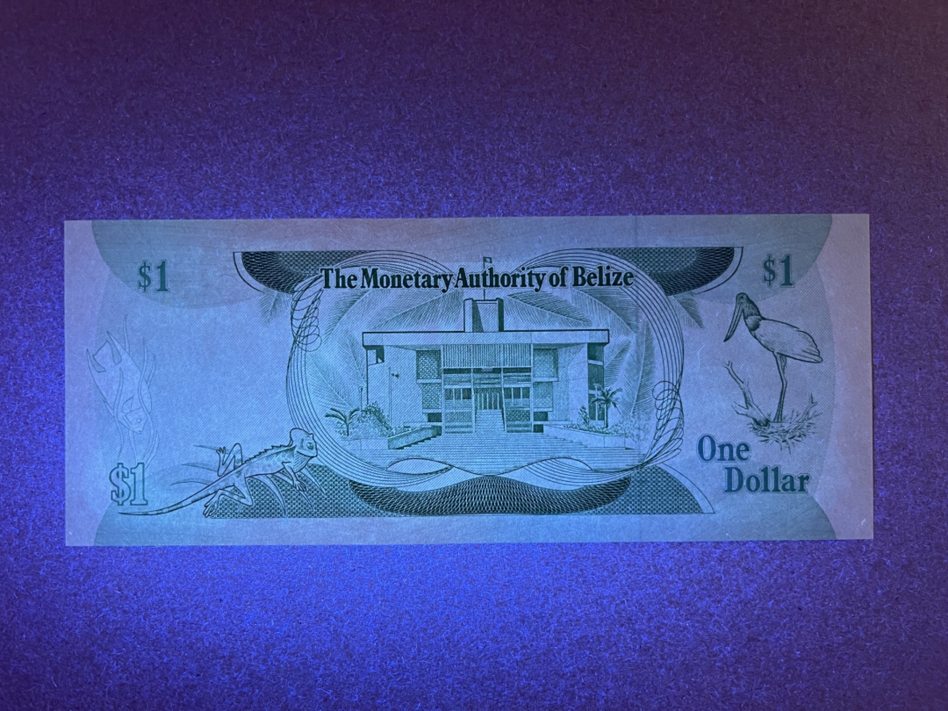 《张总收藏》66期——初版首发 伯利兹1元 UNC 1980年A1冠  P-38a