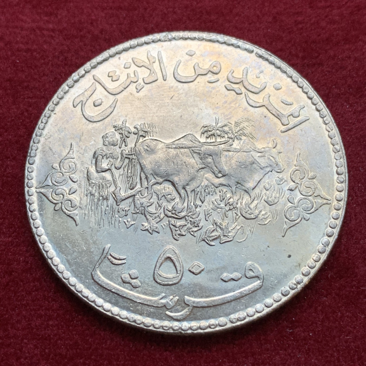 《竞宝斋》第79场-本周日，周一，周四3场拍卖（全场不限金额包邮） 苏丹 1972年 FAO耕牛 50格尔西 克朗型 大镍币