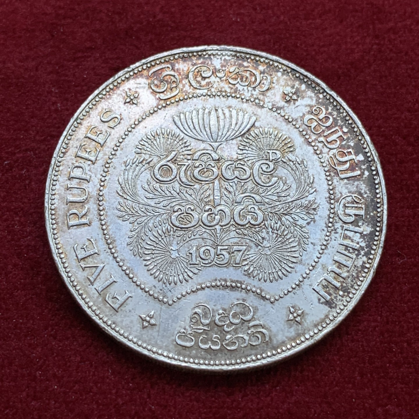 《竞宝斋》第79场-本周日，周一，周四3场拍卖（全场不限金额包邮） 锡兰 1957年 佛教2500周年纪念 5卢比大银币 好品带彩 热门品种